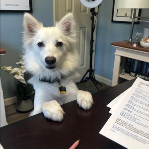 Meet your Posher, Brittany